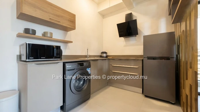 Elegant & Stylish Fully Furnished Studio in a New Residence – Côte d’Or