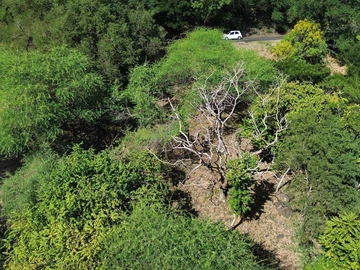Residential Land