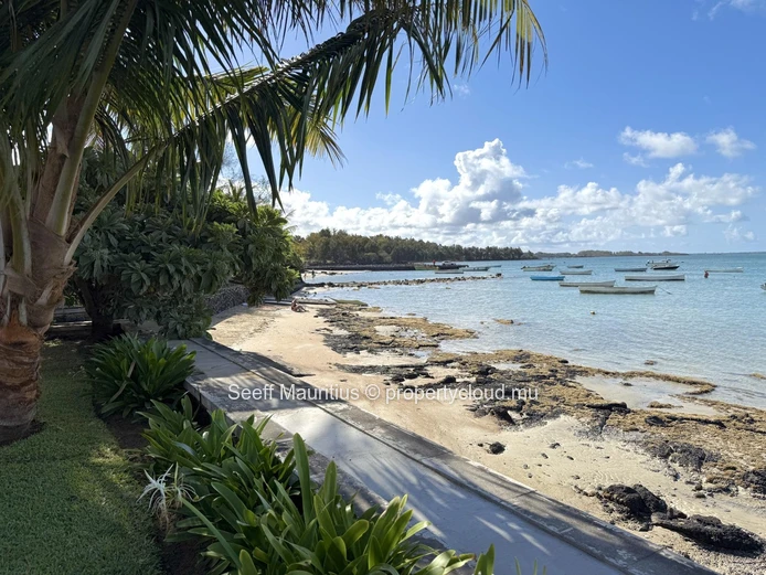 Vivez un Luxe Front de Mer Inégalé à Roches Noires