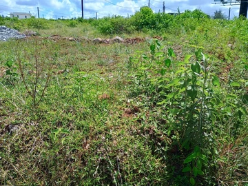 Residential Land