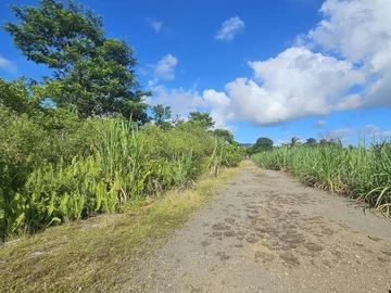 Terrain Agricole