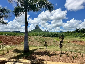 Land