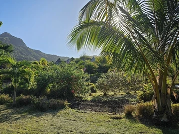 Terrain Résidentiel