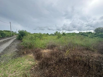 Residential Land
