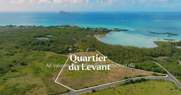 Quartier du Levant – Découvrez Les Palétuviers – Studios et appartements de 1 à 3 chambres