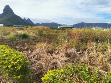 Residential Land