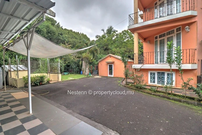 Spacious family house - St Paul