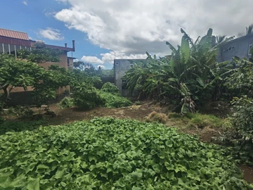 Residential Land