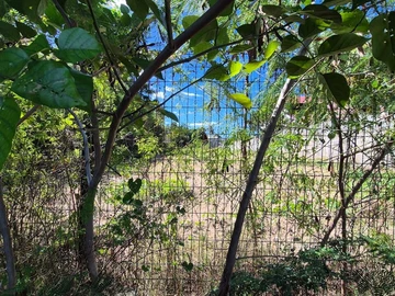 Residential Land