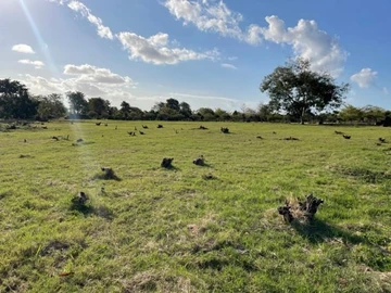 Residential Land