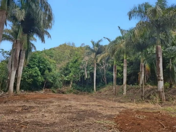 Terrain