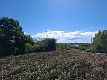 Terrain Résidentiel