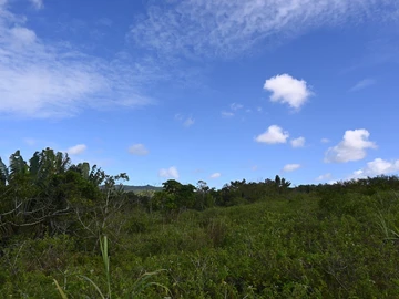 Terrain Agricole