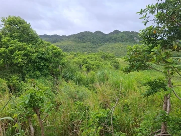 Terrain Agricole