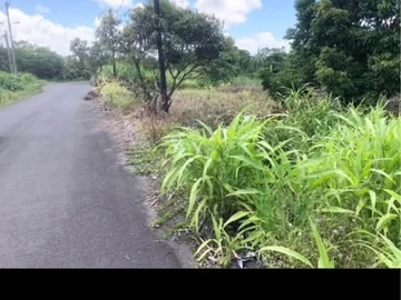 Residential Land