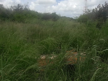 Commercial Land