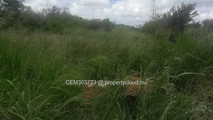 Terrain industriel 10 arpents à vendre – Petite Rivière