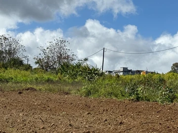 Agricultural Land