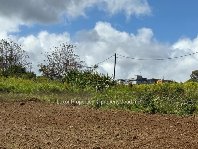 AGRICULTURAL LAND FOR SALE – Vacoas La Caverne