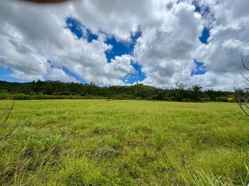 Land