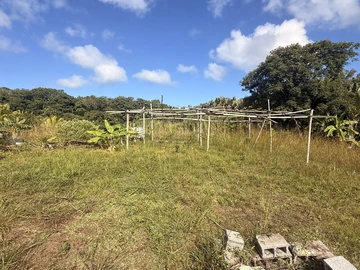 Agricultural Land