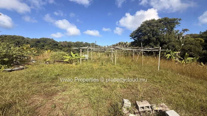 20,466sqm Prime Agricultural Land for Sale in L'Escalier - Rs