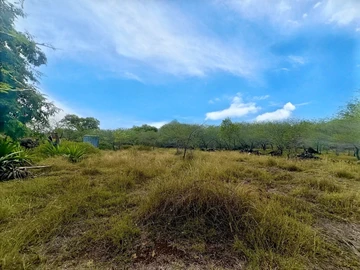 Terrain Résidentiel