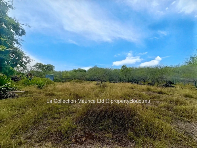 Terrain I Tamarin I Vue Montagne