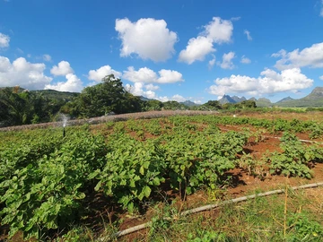 Terrain Agricole