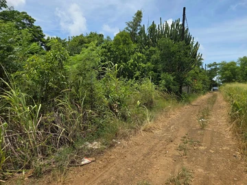 Residential Land