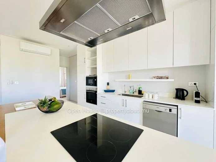 Location meublée - Penthouse 2 chambres - rooftop avec piscine privée - POINTE AUX CANONNIERS.