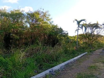 Residential Land