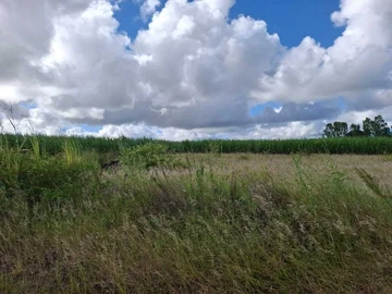 Agricultural Land