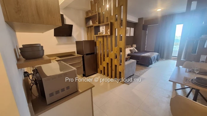 Studio neuf à louer à Tribecca – Moderne et idéalement situé