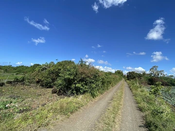 Agricultural Land
