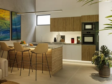 3 Bedroom Penthouse