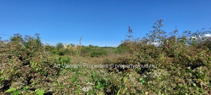Terrain résidentiel dans un quartier calme – 8 perches