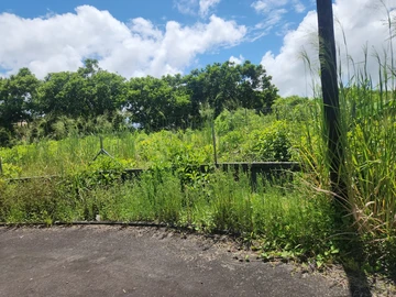Residential Land