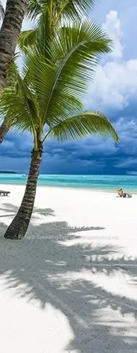 Own an apartment in the paradise of Mauritius 