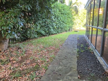 Commercial Property