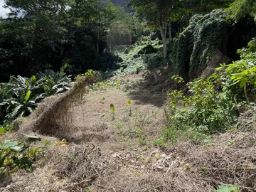 Residential Land