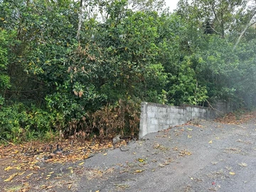 Agricultural Land