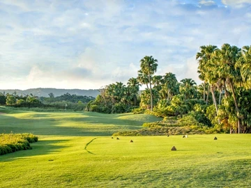 Residential Land