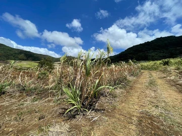 Agricultural Land