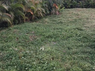 Residential Land