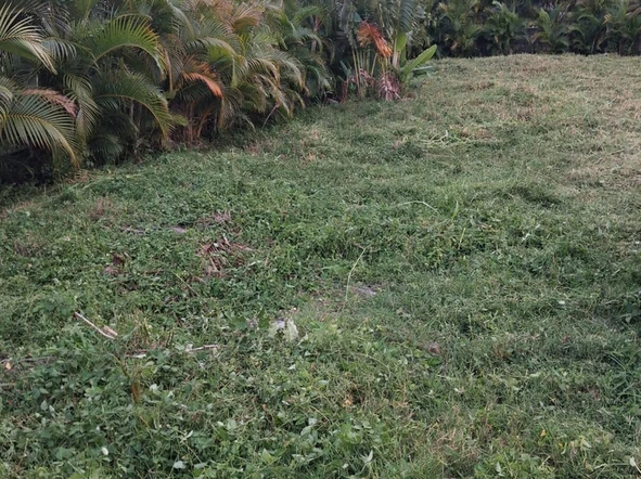Residential Land