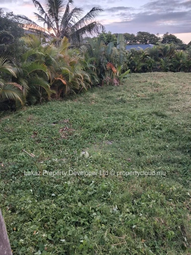1,237 m² at Mont Piton 