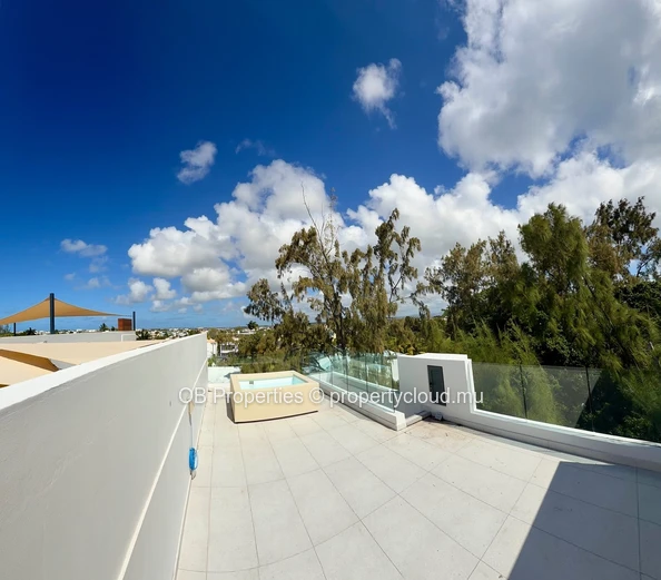 1 Bedroom Penthouse with Private Rooftop