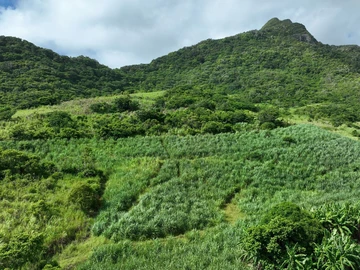 Agricultural Land
