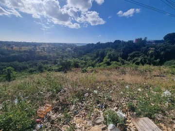Land